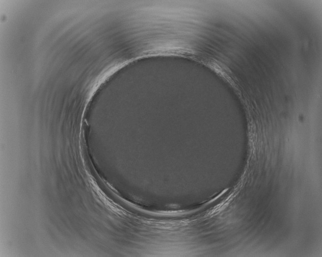 X0000057091077200509161623