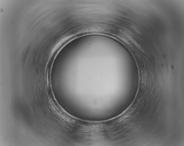 X0000057091078200509161623