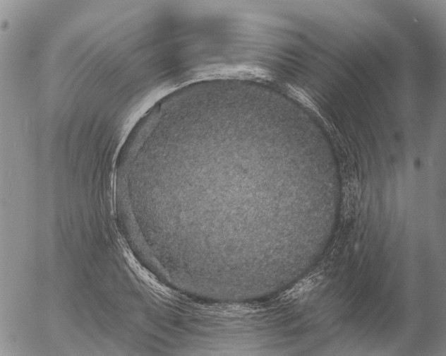 X0000057091079200509161623