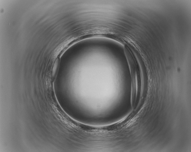 X0000057091081200509161623