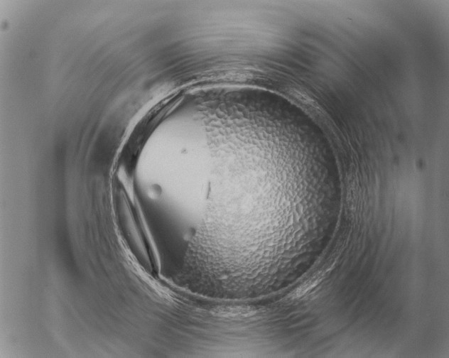 X0000057091083200509161623