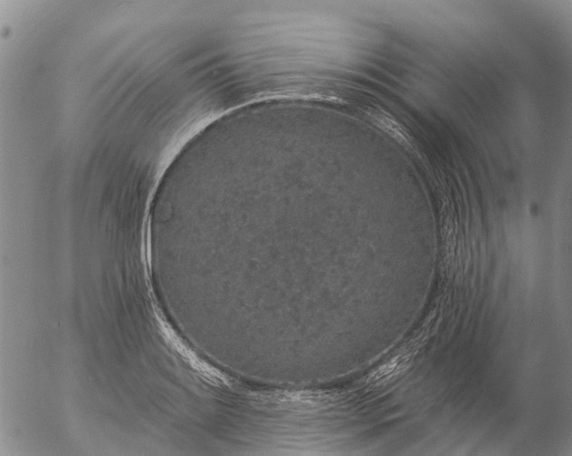 X0000057091084200509161623