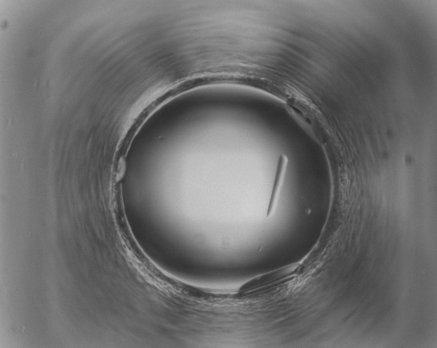 X0000057091085200509161623