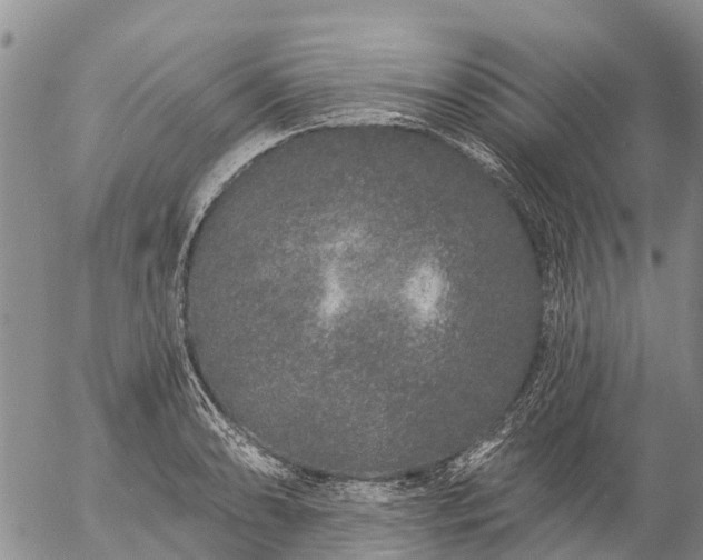 X0000057091086200509161623