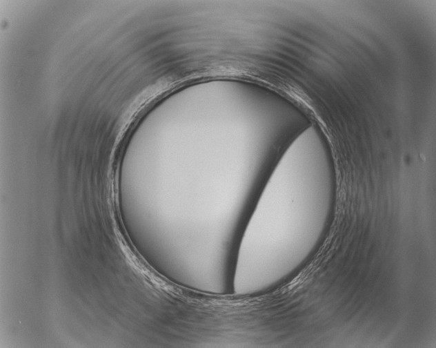 X0000057091088200509161623