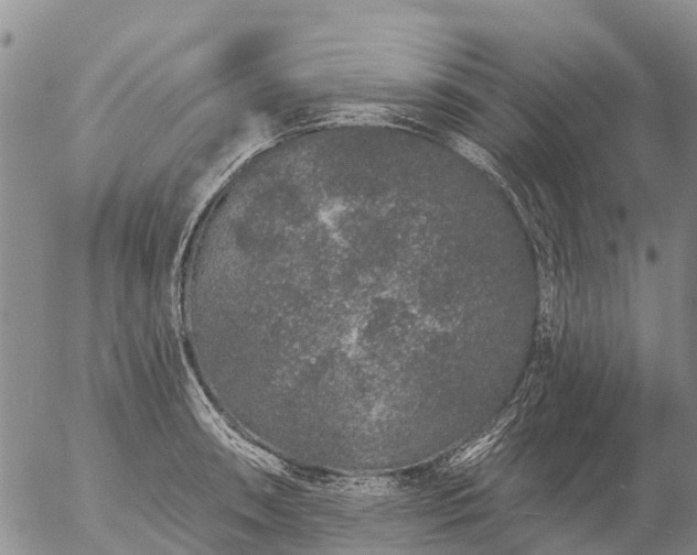 X0000057091090200509161623