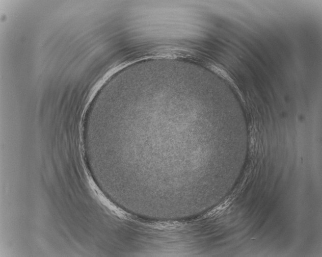 X0000057091091200509161623