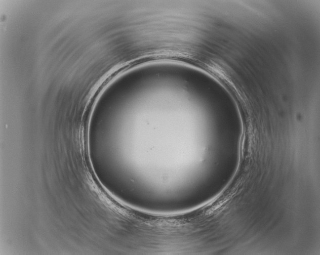 X0000057091092200509161623