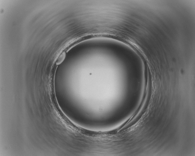 X0000057091093200509161623