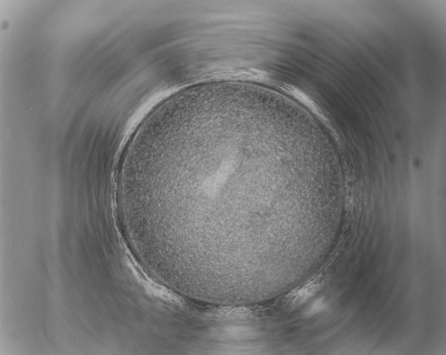 X0000057091094200509161623