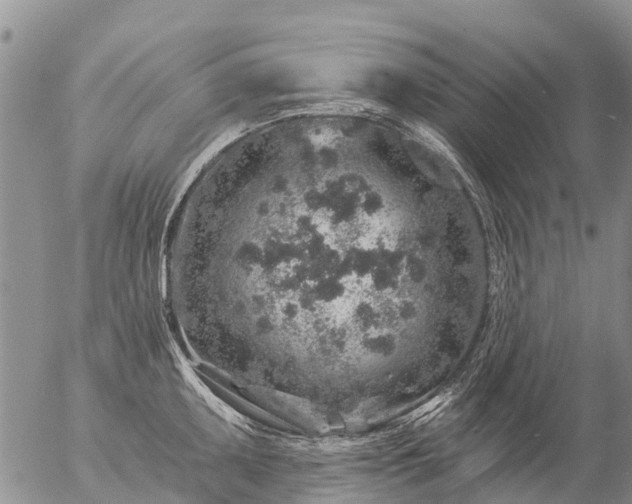 X0000057091095200509161623