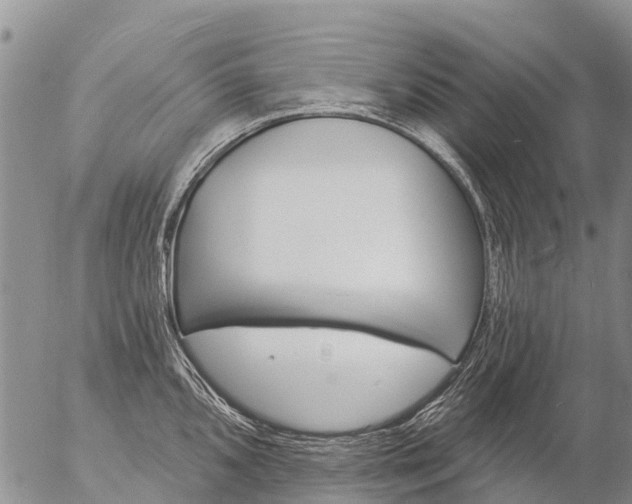 X0000057091096200509161623