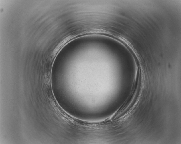 X0000057091097200509161623