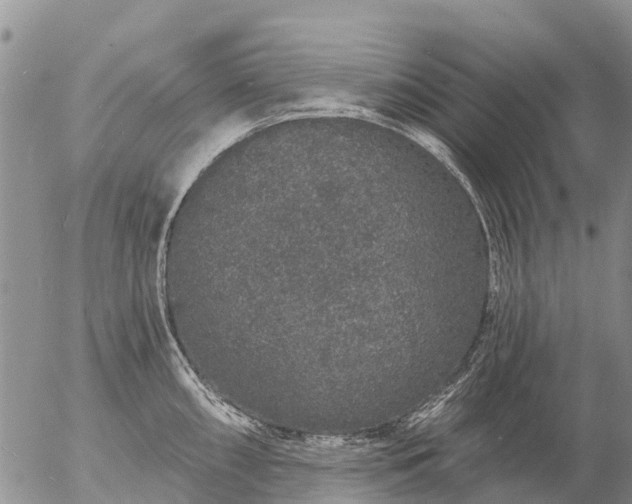 X0000057091098200509161623