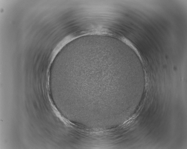 X0000057091099200509161623