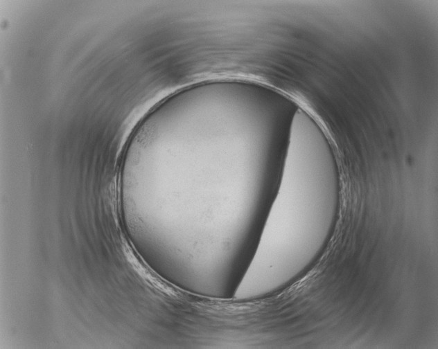 X0000057091100200509161623