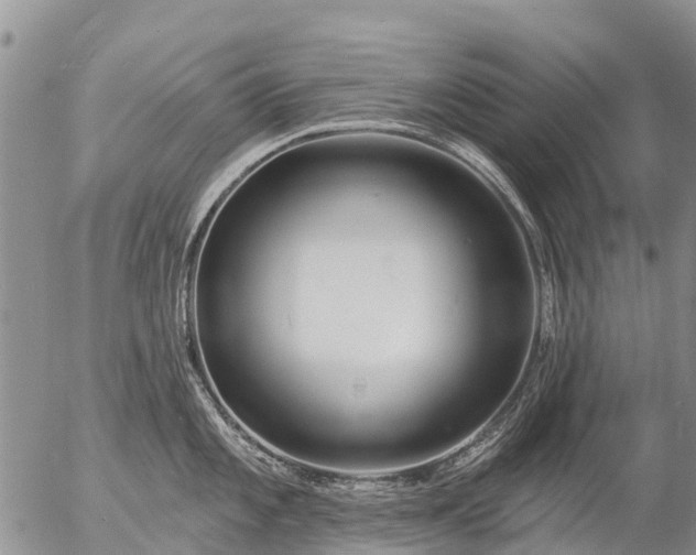 X0000057091101200509161623