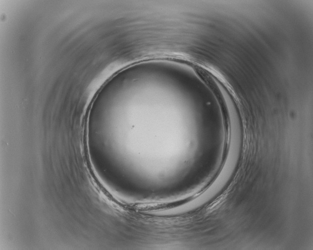 X0000057091102200509161623