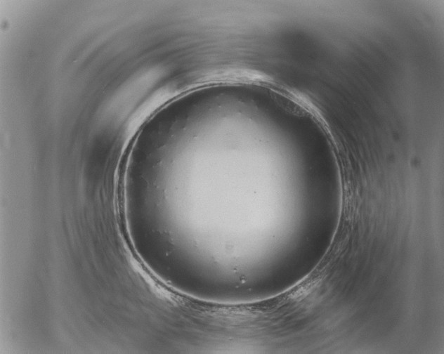 X0000057091103200509161623