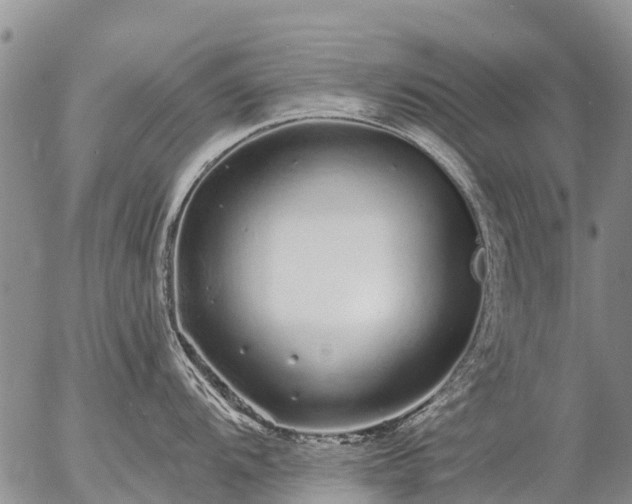 X0000057091104200509161623