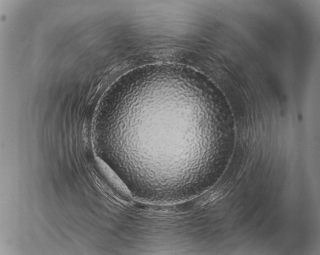 X0000057091106200509161622