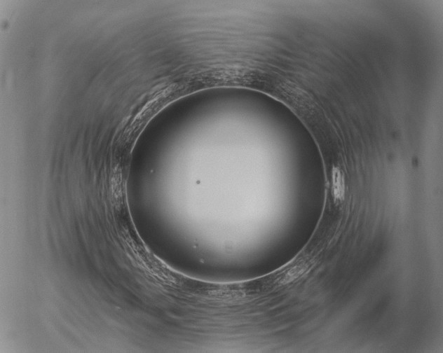 X0000057091107200509161622