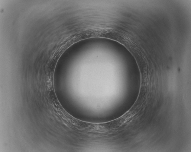 X0000057091109200509161622