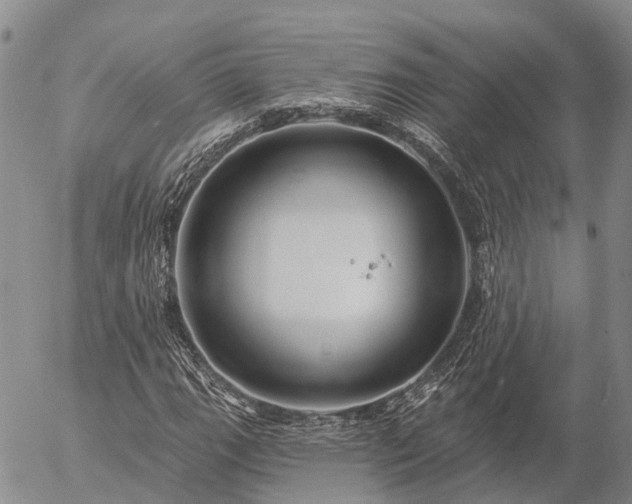 X0000057091111200509161622