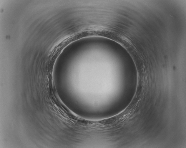 X0000057091112200509161622