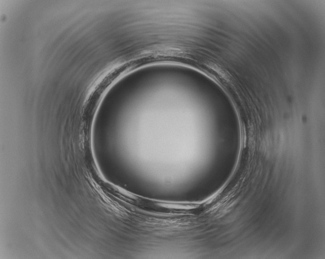 X0000057091115200509161622