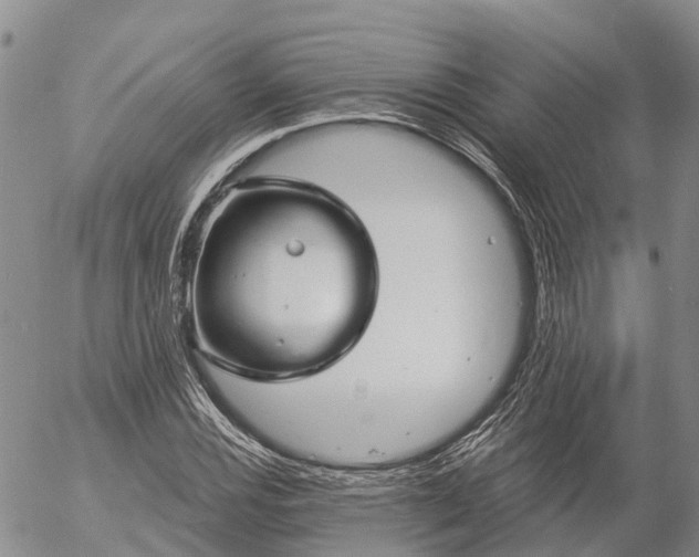 X0000057091116200509161622