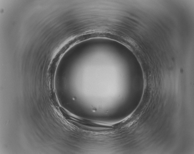 X0000057091118200509161622