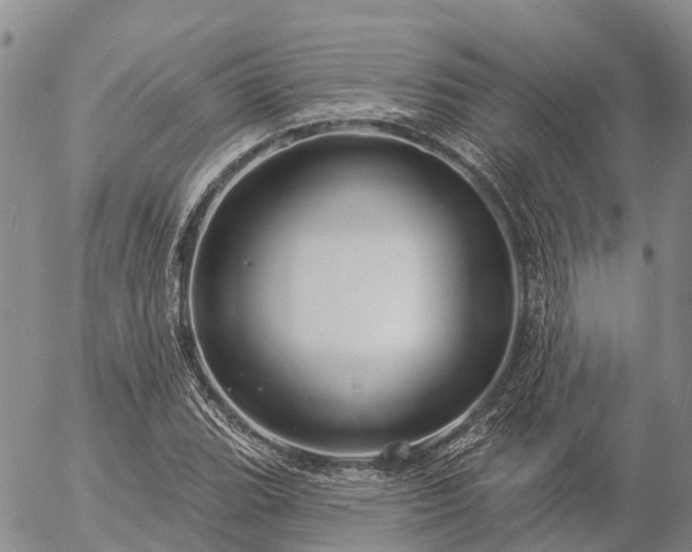 X0000057091119200509161622