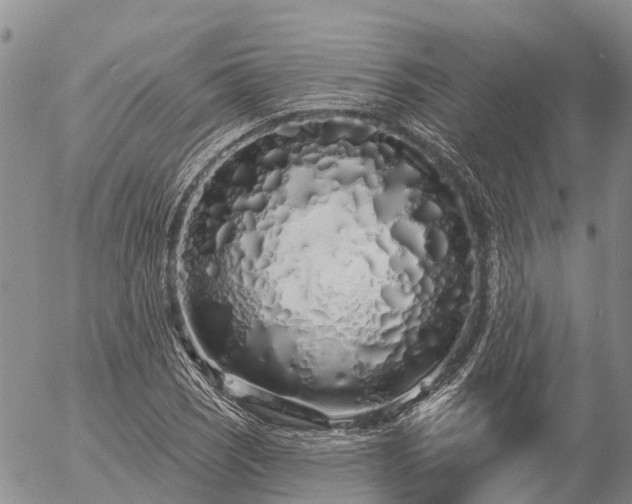 X0000057091121200509161622