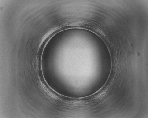 X0000057091122200509161622