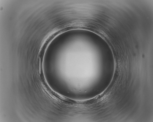 X0000057091123200509161622