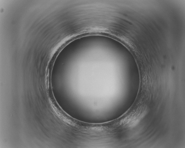 X0000057091126200509161622