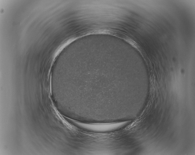 X0000057091127200509161622