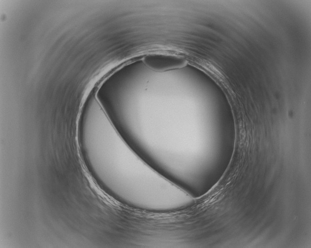 X0000057091128200509161622