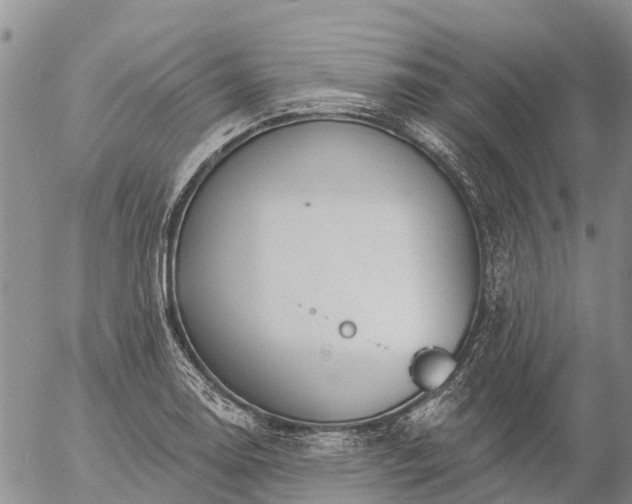 X0000057091130200509161623