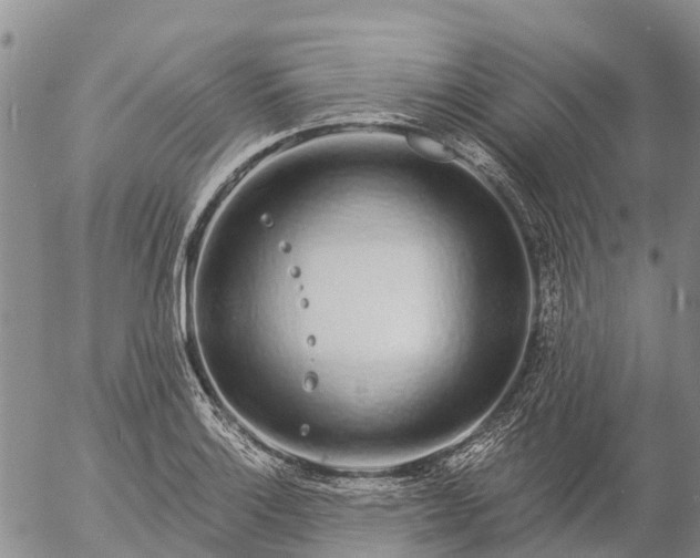 X0000057091132200509161623