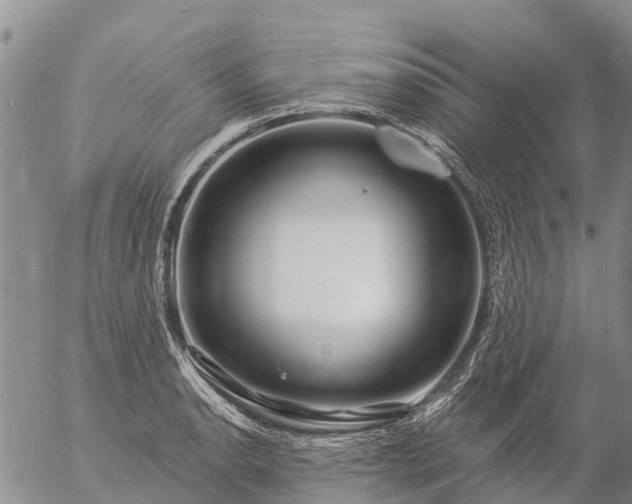 X0000057091134200509161623