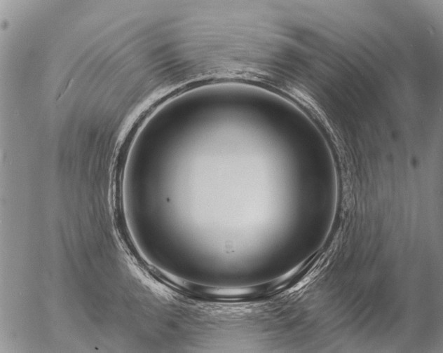 X0000057091136200509161623