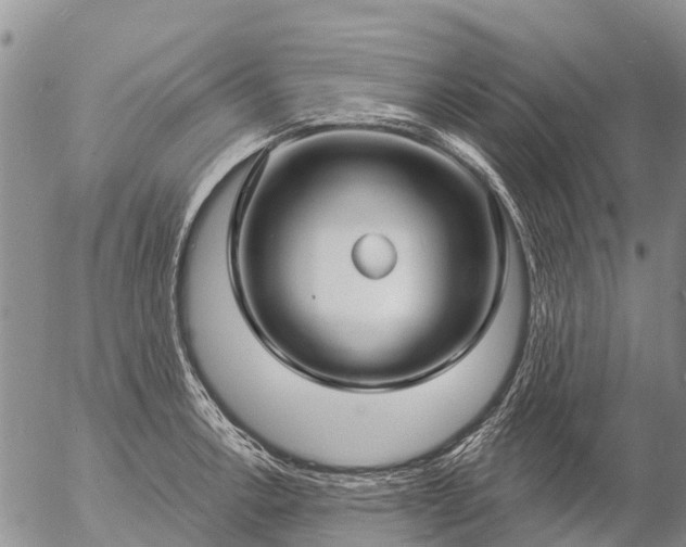 X0000057091138200509161623