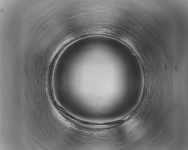 X0000057091139200509161623