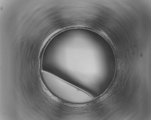 X0000057091140200509161623