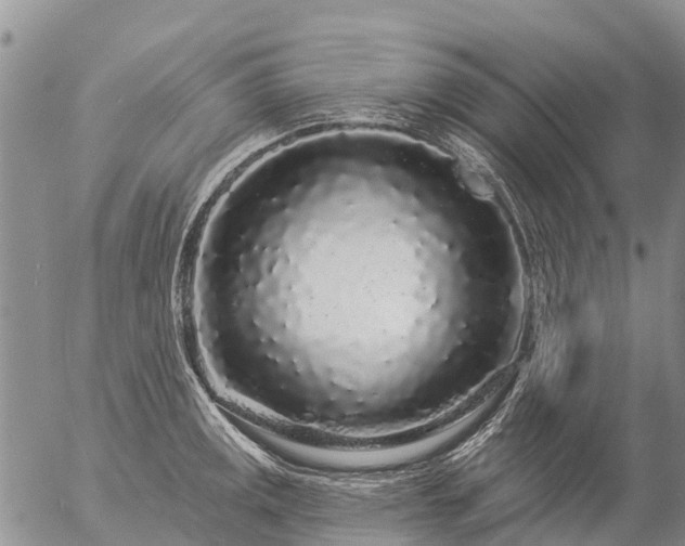 X0000057091141200509161623