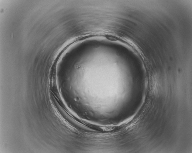 X0000057091142200509161623