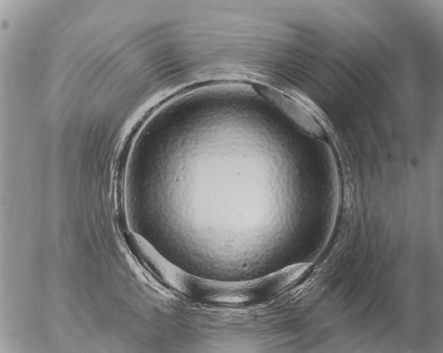 X0000057091144200509161623