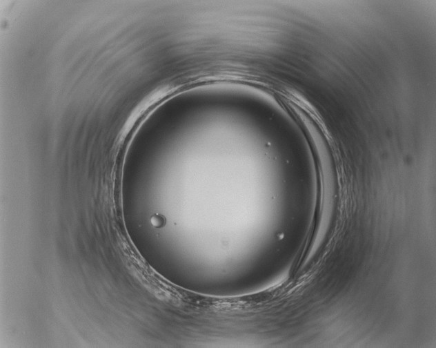 X0000057091146200509161623